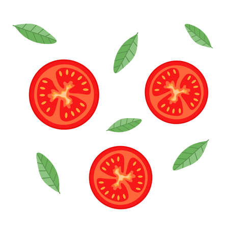 Slices of tomato with herbs on a white background.のイラスト素材