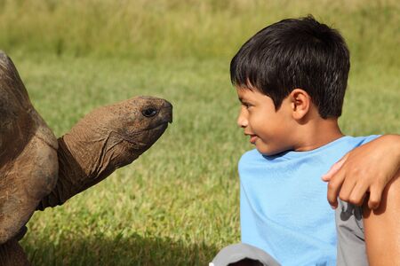 Young school boy playing with a giant tortoiseの写真素材