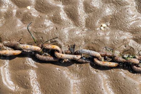 Discarded rusty chain in wet sandの写真素材