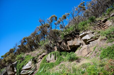Route towards Sheoak Falls, Great Ocean Road, Victoria, Australiaの写真素材