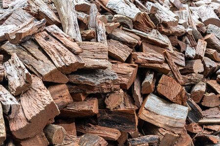 Pile of chopped wood tree trunksの写真素材