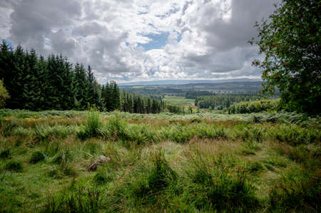Bracklinn falls, Callandar, Stirlingshire, Scotlandの写真素材