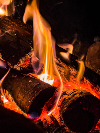 Wood burning in a fire pitの写真素材
