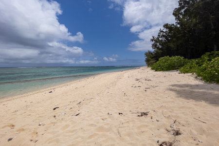 Deserted Riambel Beach. Riambel on the south coast near Surinam, Mauritiusの写真素材