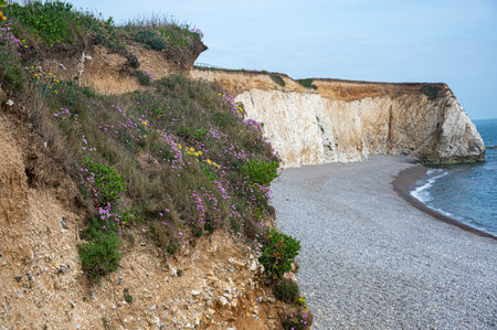 Freshwater Bay, Isle of Wight, Hampshire, UKの写真素材