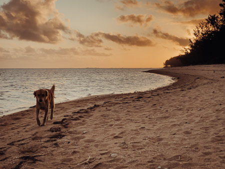 Sunset from Riambel beach, Mauritiusの写真素材