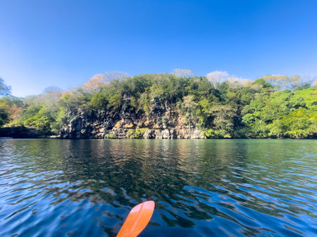 Kayaking along the Great River South East, Mauritiusの写真素材