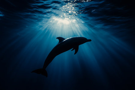 Dolphin swimming in the deep blue ocean with rays of light behindの素材