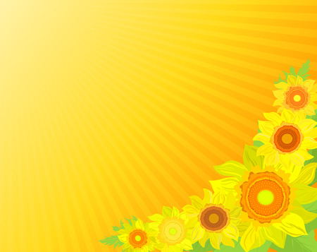 floral background with sunflowersのイラスト素材