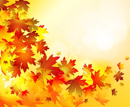 Autumn leaves background のイラスト素材