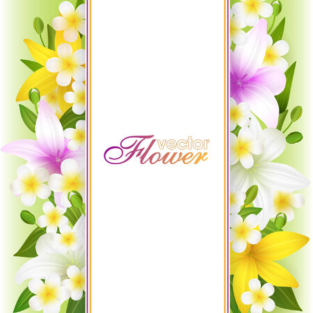 Beautiful flowers background, vector illustration with lilies - flowers, buds and leavesのイラスト素材