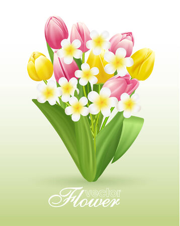 Beautiful flowers background, vector illustration with tulips and liliesのイラスト素材