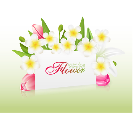 Beautiful flowers with greeting card , vector illustration with tulips and liliesのイラスト素材