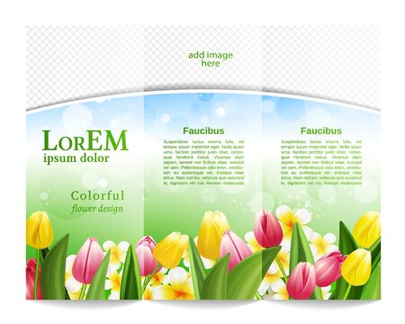 Tri-fold brochure templateのイラスト素材