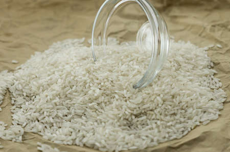 The rice seeds in the glassy limpetの写真素材