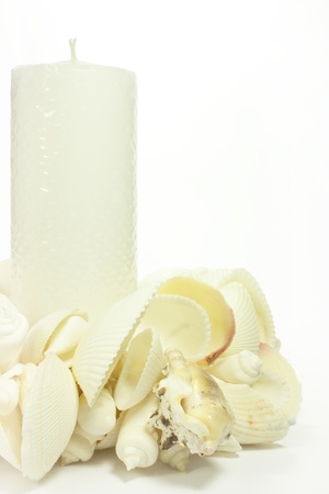 centerpiece with candle and shellsの写真素材
