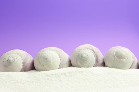 shells in a row on white sand with a background degradingの写真素材