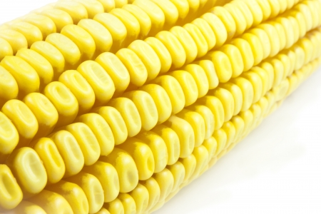 beans and corn cobsの写真素材