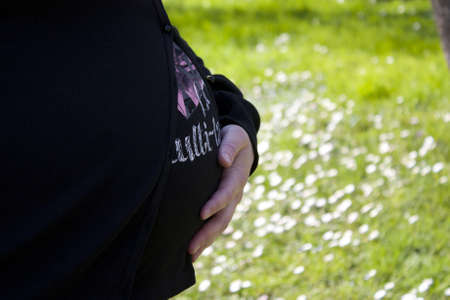 belly of a pregnant woman on the background of daisiesの写真素材