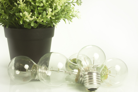 energy and incandescent bulbs and lightの写真素材
