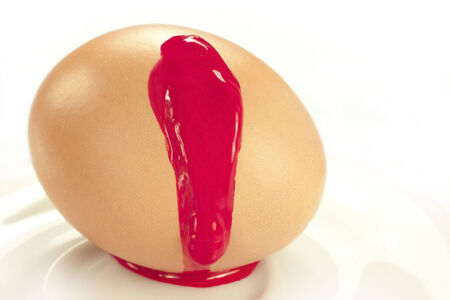 a henの写真素材