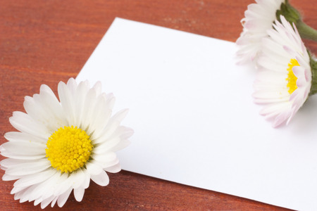 a white card with the flowers の写真素材