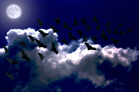 silhouettes of bats in the clouds During the full moonの写真素材