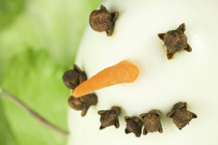 snowman gastronomic made with boiled eggs and cloveの写真素材