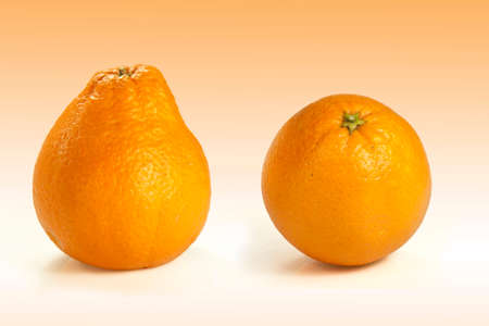 a particular orange deformed like a pearの写真素材