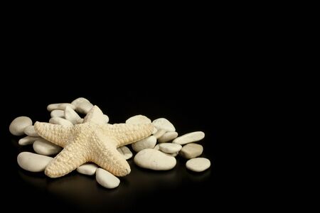 starfish and pile of stones on a black backgroundの写真素材