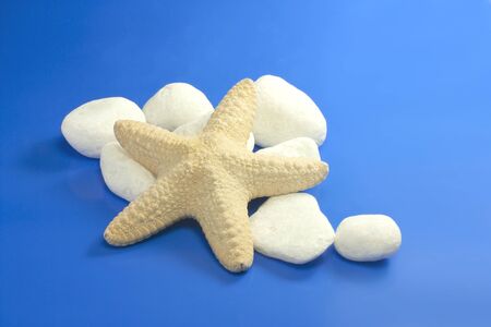 starfish and piles of stones on a blue backgroundの写真素材