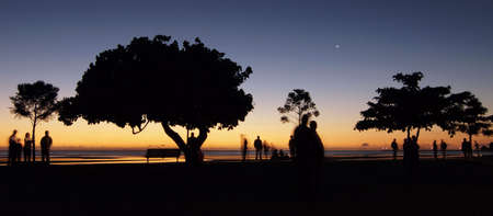 Dark silhouettes waiting in the fading light of dayの写真素材