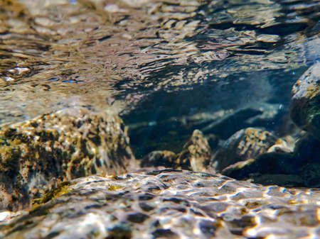 Photograph taken underwater, in a river of Oaxaca Mexico