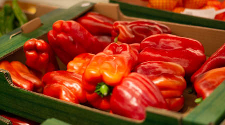 big red pepper from Spainの写真素材