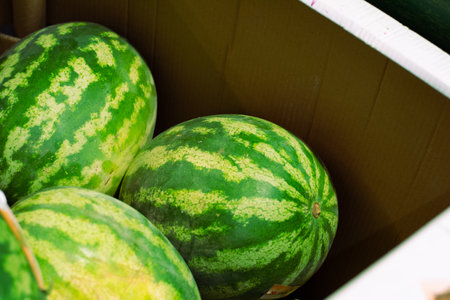 three green watermelons inside cardboard boxの写真素材