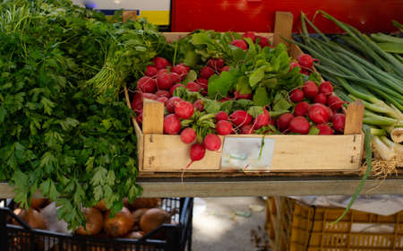 set of demons in a circle in the middle of a large fireball with sparks in traditional festivalsの写真素材