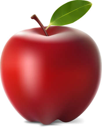 Realistic red apple fruit illustrationのイラスト素材