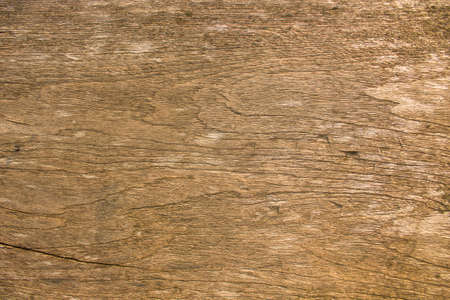 Rustic Timber Wood Effect Wallpaper in Brownの写真素材