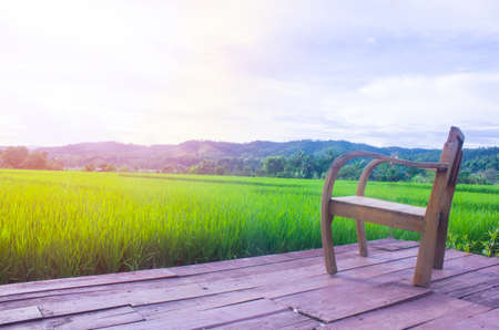 The point of view of win in the fieldの写真素材