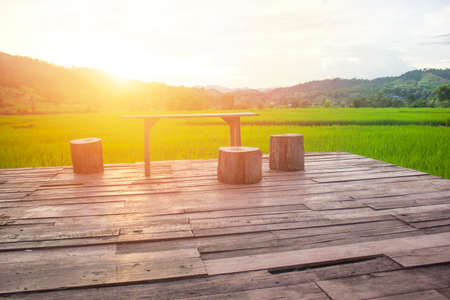 Point of view in the field.の写真素材