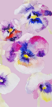 pansies spring watercolor purple backgroundの写真素材
