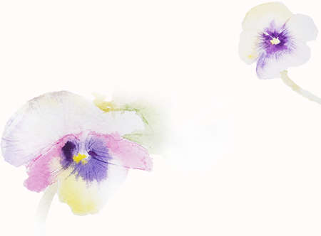 pansies spring watercolor purple backgroundの写真素材