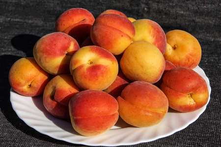Large ripe sweet delicious apricots lying on a white plateの写真素材