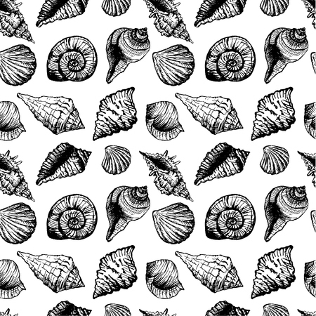 Hand drawn seamless pattern with various seashellsのイラスト素材