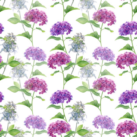 Hydrangea flowers pattern. Watercolor of pink, purple and white flowers isolated on a white...