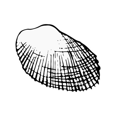 Vector illustration of a seashell in bold black silhouette with cutout line details. Minimal,...