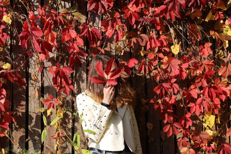 end of summer beauty - young girl standing near the fence with red leavesの写真素材