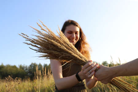 russian village scenery - hot summer day on the countryside with a young girlの写真素材