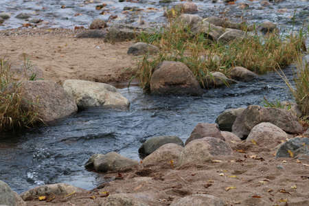 nature's beauty - lovely sights you can get in Saint-Petersburg