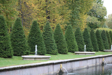 nature's beauty - lovely sights you can get in Saint-Petersburgの写真素材